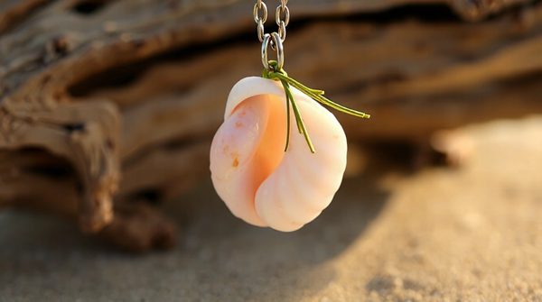 Explore beautiful shell charms for your coastal jewelry collection